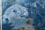 Alerta Azul di Luca Bray fotografia di Raffaele Puce